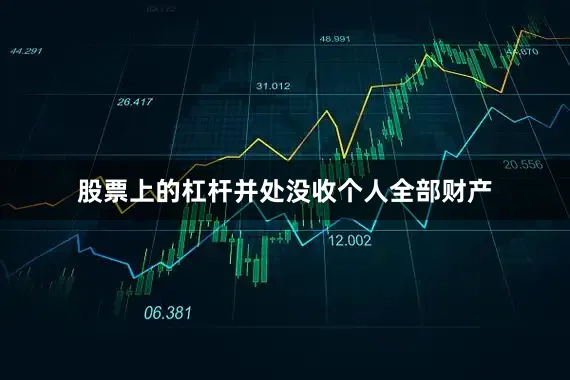 股票上的杠杆并处没收个人全部财产